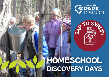 Homeschool discovery days is at the bottom with graphic leaves, above is a picture of children looking into a metal sap pail on a tree